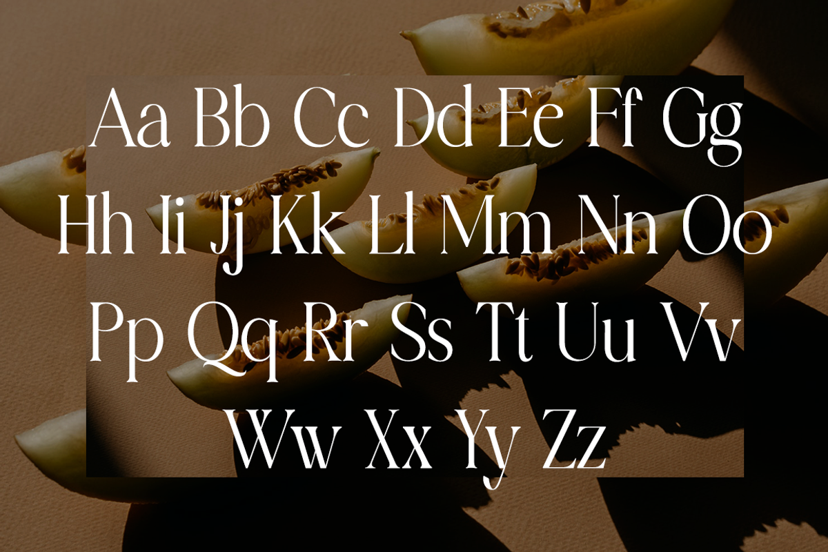 Charlotten - Elegant & Stylish Serif, a Serif Font by RockboyStd (Photo 9 of 12)