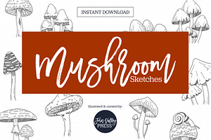 Mushroom Sketch Clipart Collection