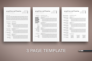 3 Page Resume CV Template Word Pages, a Resume Template by The Creative Resume (Thumbnail 3 of 8)