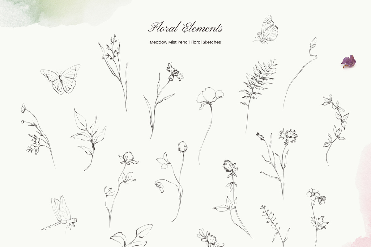 Meadow Mist: Pencil Floral Sketches, a Decorative Illustration by Yuliia Lashevska (Photo 11 of 12)