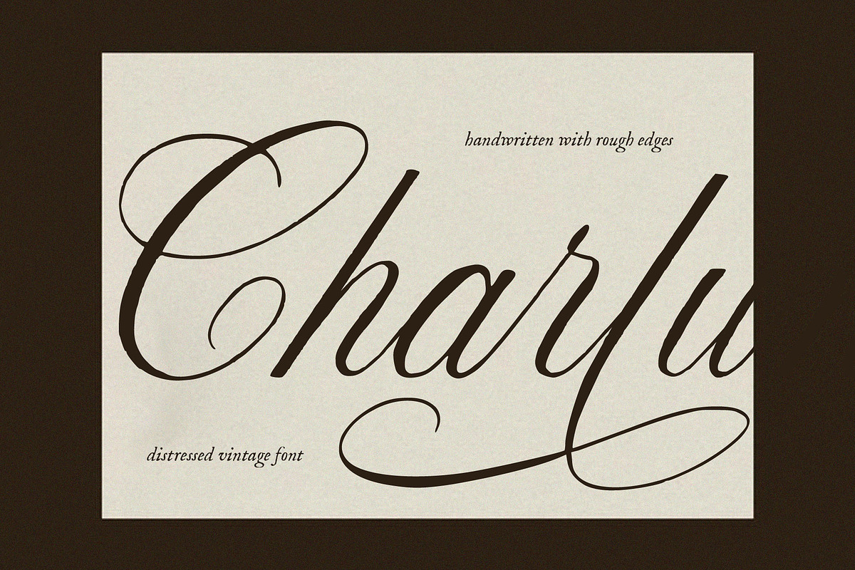 La Charlune | Handwritten Script, a Script Font by Calamar Studio (Photo 20 of 21)
