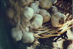 Close-up of harvested garlic bulbs, a Food & Drink Photo by Rohan Photography
