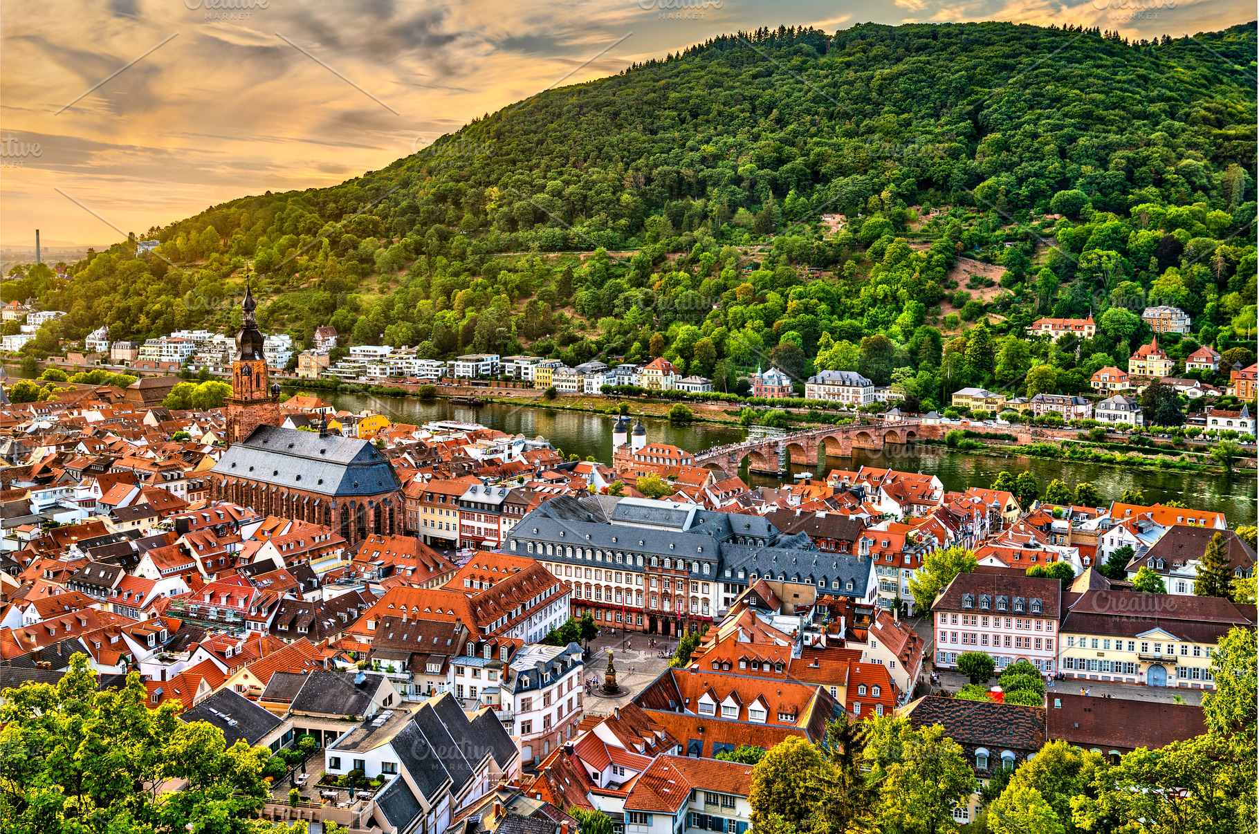 Skyline of Heidelberg in Germany, an Architecture Photo by Leonid Andronov