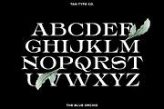 TAN - THE BLUE ORCHID, a Serif Font by TanType (Thumbnail 12 of 12)