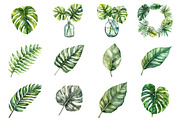 Watercolor Tropical Leaves Clipart, an Illustration by Design Market (Thumbnail 3 of 3)