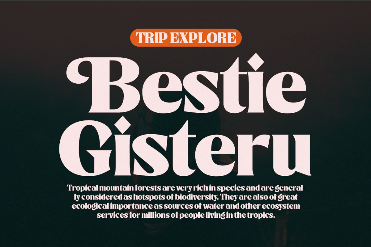 Catiler, a Sans Serif Font by Gatype (Photo 6 of 10)