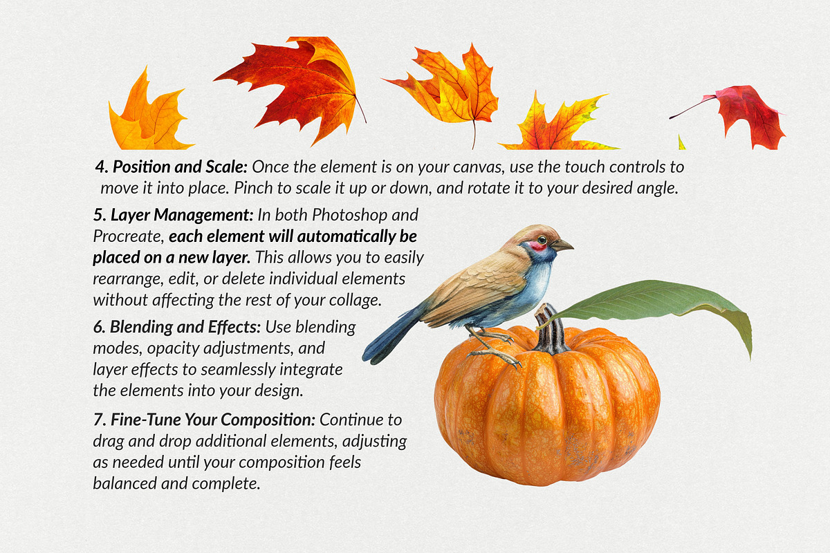 330+ Elements Autumn Collage Creator, an Object Graphic by Digi Life (Photo 13 of 13)