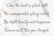 Vocation Delightful, a Handwritten Font by FreshTypeINK (Thumbnail 7 of 8)