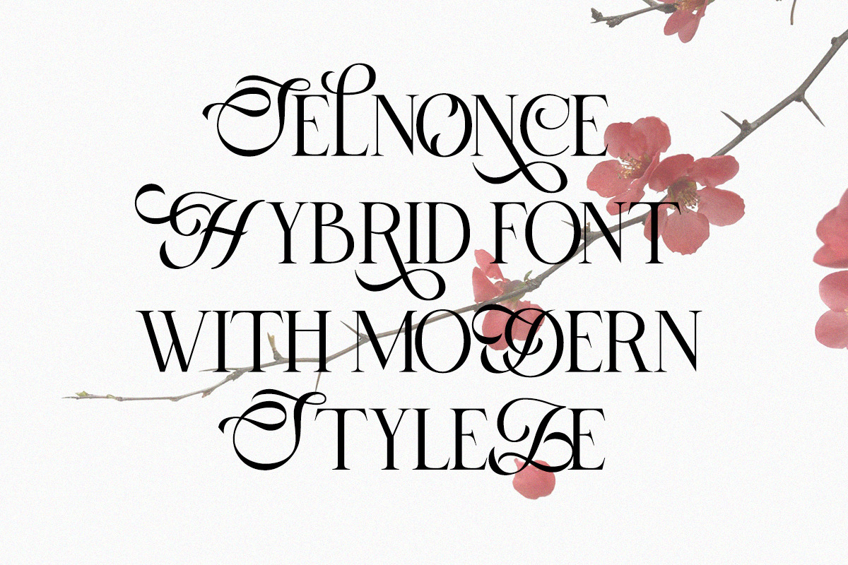 Selnonce - Elegant Luxury Serif, a Serif Font by Qweera Studio (Photo 5 of 12)