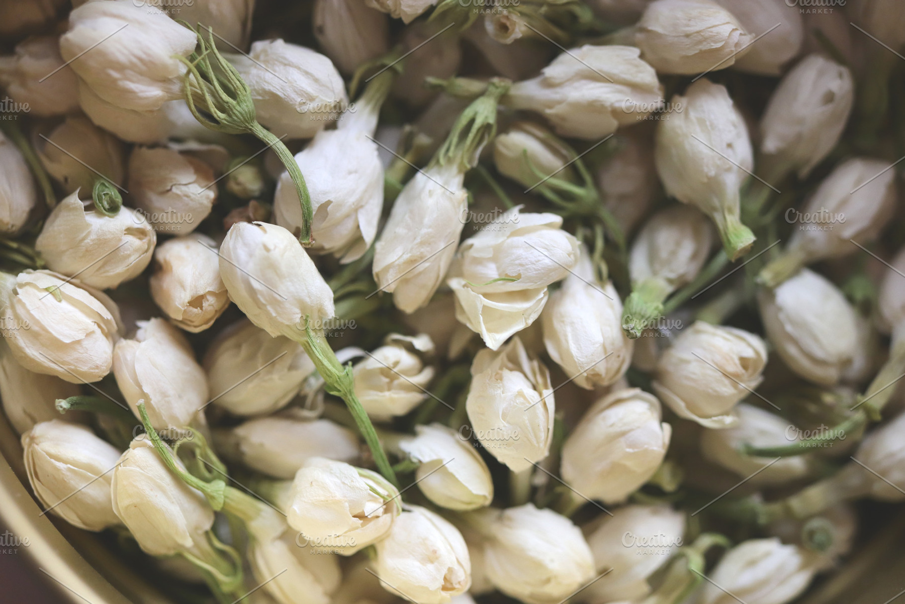 Close-up of fresh jasmine buds with green stems., a Food & Drink Photo by Textures & Backgrounds