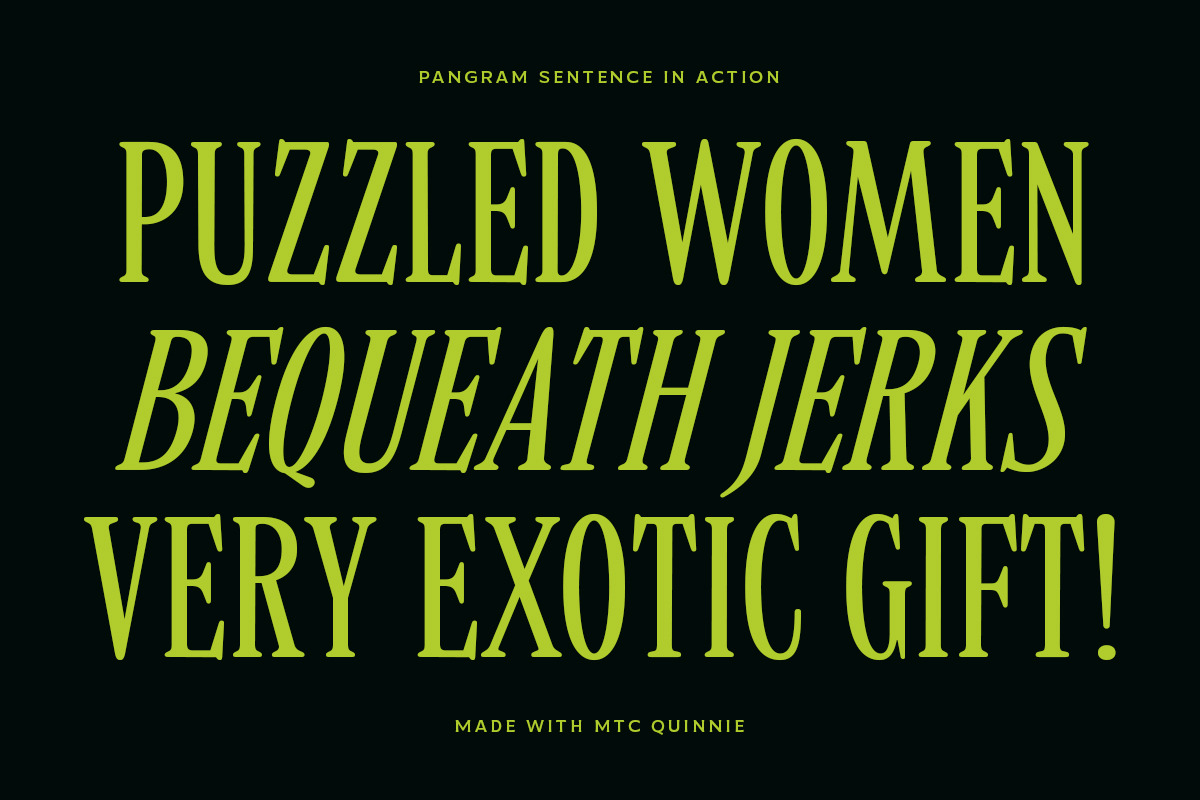 MTC Quinnie - Condensed Serif!, a Serif Font by Martype (Photo 10 of 12)