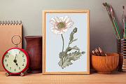 Wedding Card Poppy Poppies Seamless, an Object Graphic by Vintage (Thumbnail 12 of 13)