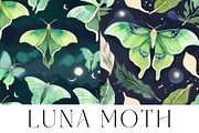 Luna Moon Moth, a Decorative Illustration by Karliefie (Thumbnail 1 of 5)