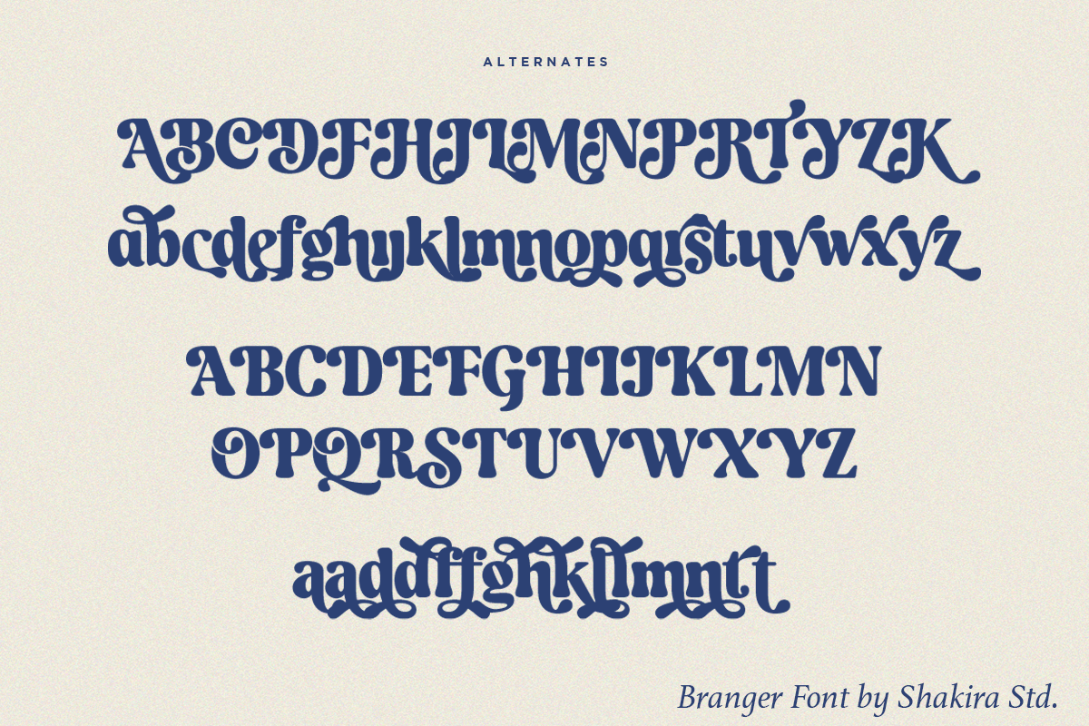 Branger - Modern Retro Serif, a Serif Font by Shakira Studio (Photo 14 of 15)