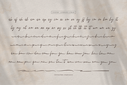 La gratesa | Signature Script, a Script Font by Denustudios (Thumbnail 12 of 12)