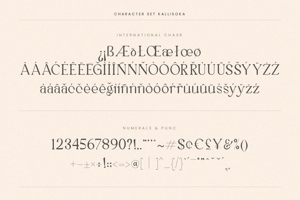 Kallisoka Modern Elegant Serif, a Serif Font by Creatype Studio (Photo 9 of 9)