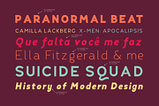 Fibon Neue Family, a Sans Serif Font by Hederae Type Foundry (Thumbnail 5 of 5)