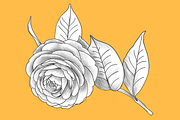 Camellia japonica, an Object Graphic by VictoriaKStudio (Thumbnail 2 of 6)