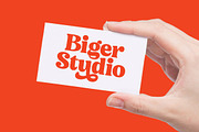 Noira Bilamo Retro Groovy Serif, a Serif Font by timelesstype.co (Thumbnail 10 of 15)
