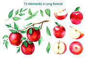 Watercolor apples. Collection., a Food Illustration by Art Watercolor (Thumbnail 2 of 3)
