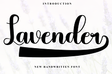 Lavender