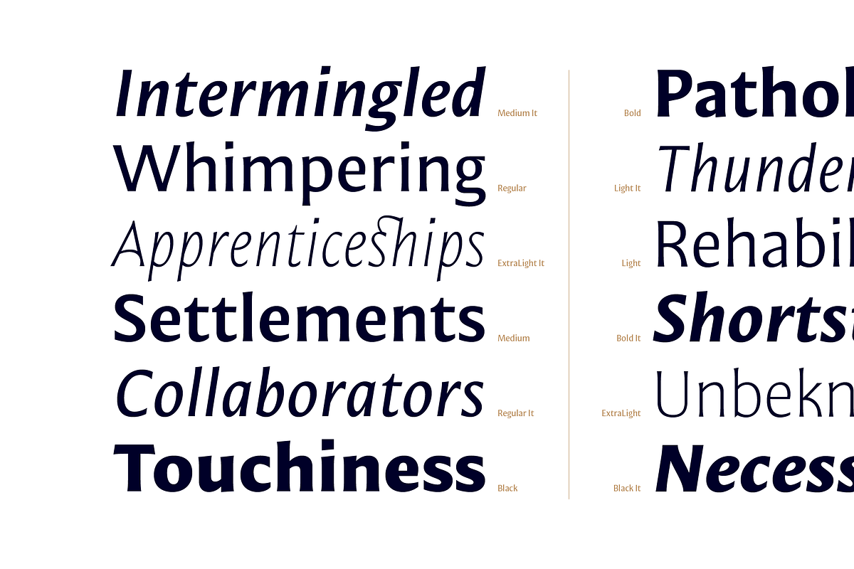 Mestiza Sans, a Sans Serif Font by Lechuga Type (Photo 2 of 19)