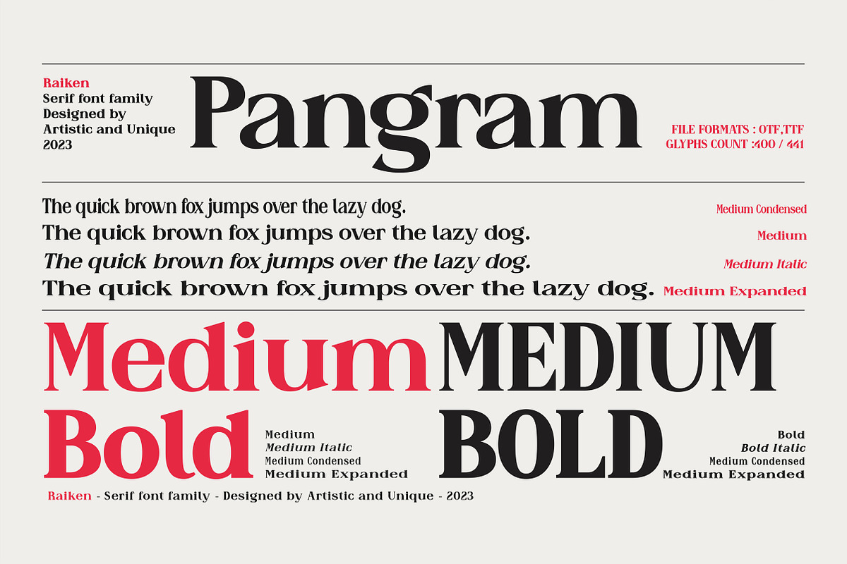 Raiken - Serif font family, a Serif Font by Artistic & Unique (Photo 14 of 14)