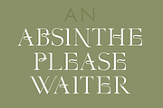 Monsieur. Chic serif font, a Serif Font by LostandFoundry (Thumbnail 4 of 7)