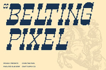 CS Belting Pixel