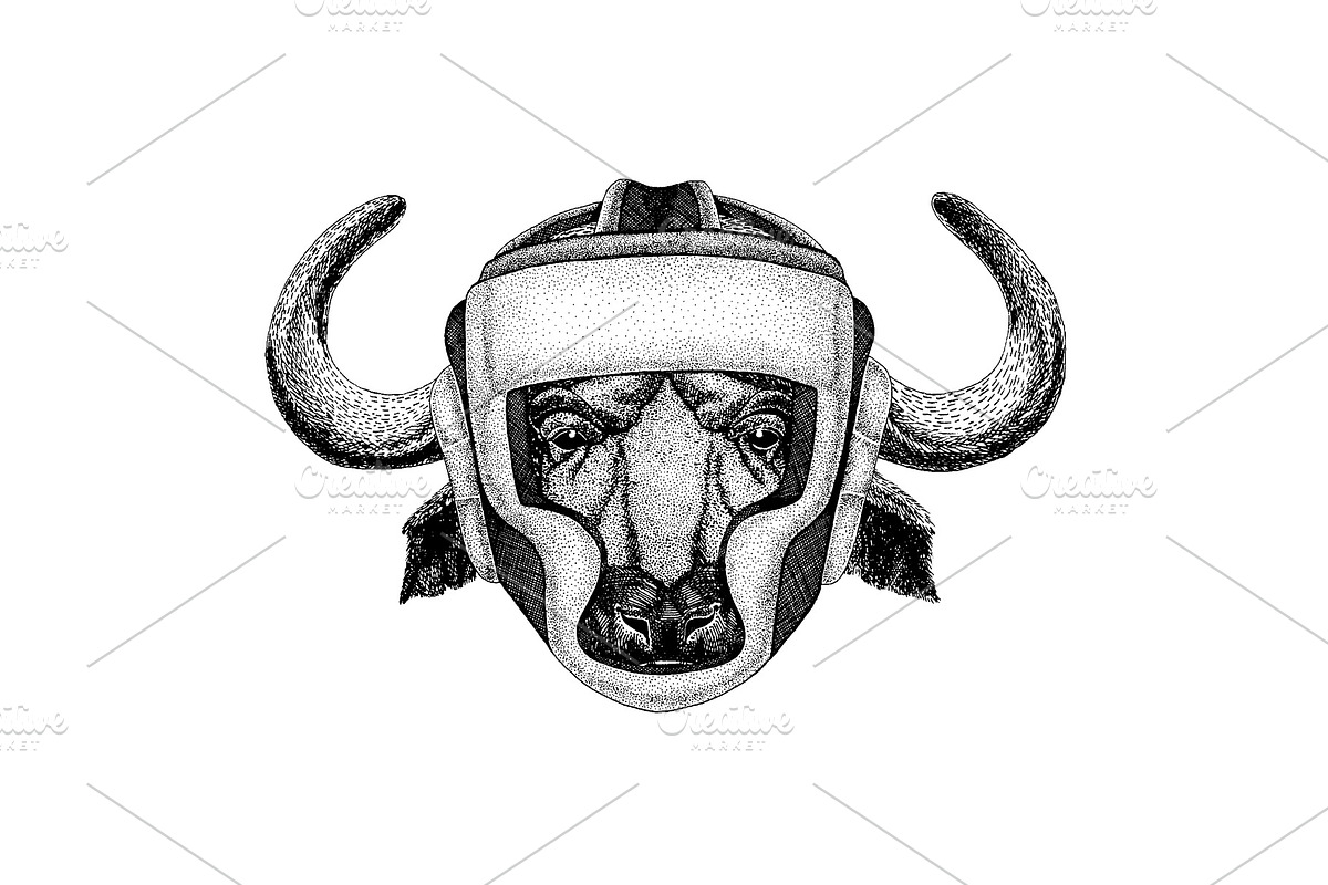 Boxer animal. Vector illustration, an Animal Illustration by Doodle