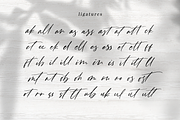 Fast Line Brush Script, a Script Font by Quothron (Thumbnail 6 of 8)