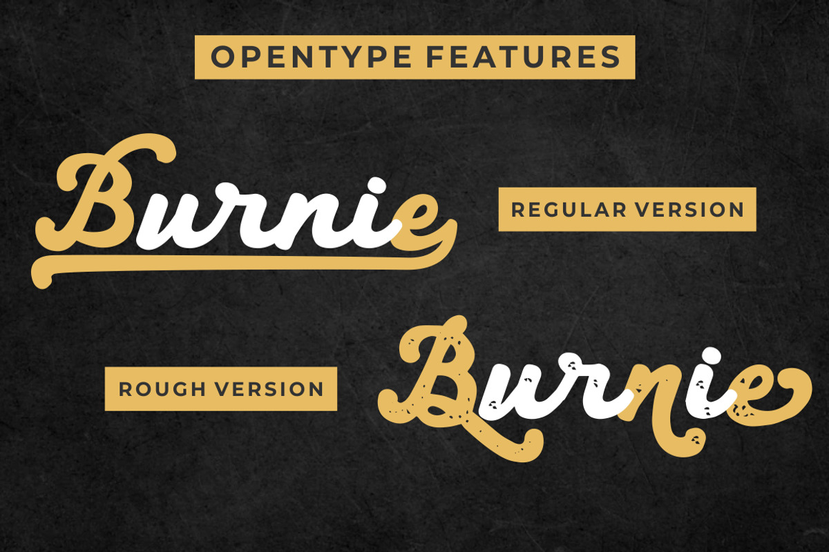Locke Port - Modern Script Font, a Script Font by PutraCetol Studio (Photo 12 of 12)
