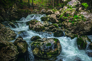 Creek with cascades in the forest, a Nature Photo by Alpine Dreams