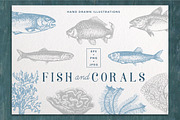 Fish & Corals Collection, an Animal Illustration by Chewie Co (Thumbnail 1 of 9)
