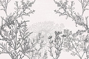 Dried Flowers, Petals, Shoots, an Illustration by TheBlackPixelCo (Thumbnail 3 of 8)