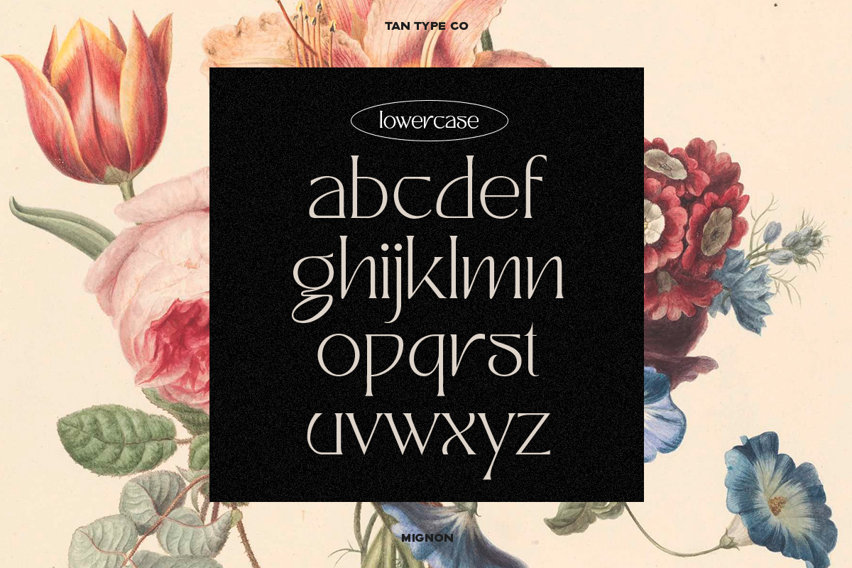 TAN - MIGNON, a Font by TanType (Photo 16 of 17)