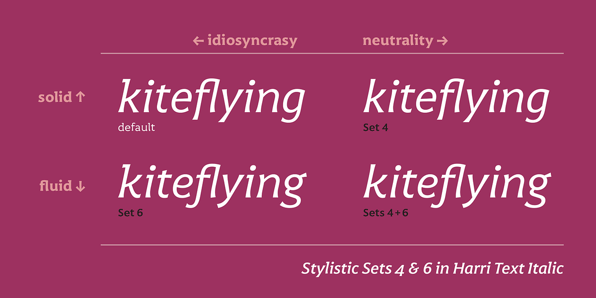 Harri Text, a Sans Serif Font by Blancoletters (Photo 14 of 14)