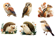 Watercolor Forest Animals Clipart, an Illustration by DreamArtGraphic (Thumbnail 3 of 4)