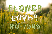 Natural Wildflower Font, SVG font, a Font by Tattoo Worker Studio (Thumbnail 2 of 4)