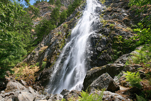 Majestic waterfall in a lush forest setting, a Nature Photo by AlyaAnd