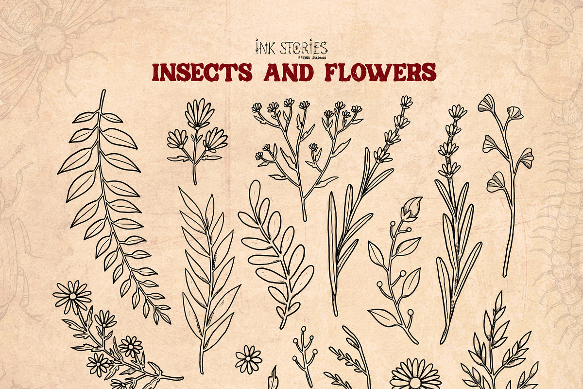 Insects and Flowers, an Animal Illustration by Ink Stories (Photo 7 of 15)