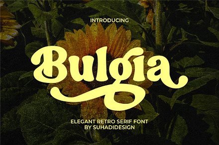 Bulgia Elegant Retro Serif Font, a Serif Font by suhadidesign