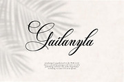 Palm Beach Modern Script Font, a Script Font by Muntab_Art (Thumbnail 5 of 10)