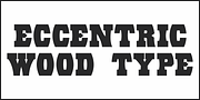 Eccentric Wood Type JNL, a Slab Serif Font by Jeff Levine Fonts (Thumbnail 2 of 5)