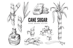 Hand Drawn Cane Sugar Items Set