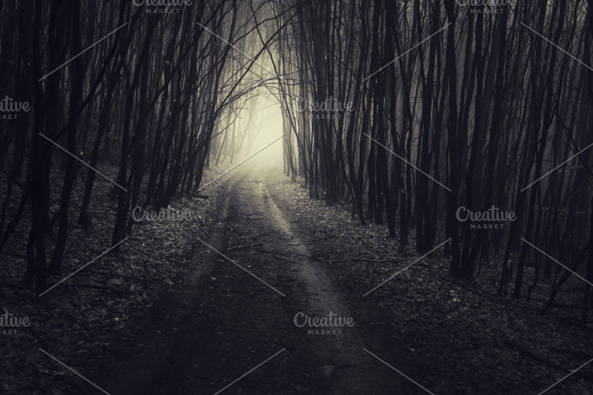 Haunted Halloween Forest Pack 1, a Holiday Photo by Atmospheric visuals (Photo 5 of 6)