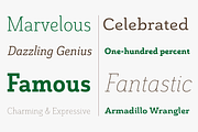 Grenale Slab, a Slab Serif Font by insigne (Thumbnail 4 of 4)