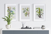 Watercolor Bamboo Trees, a Decorative Illustration by Vasmila (Thumbnail 2 of 8)