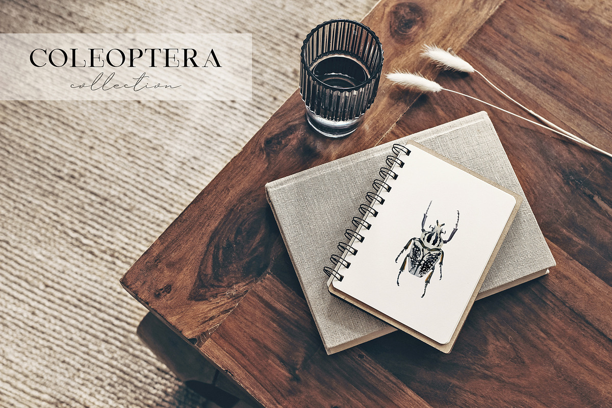 Beetles watercolor collection, an Animal Illustration by Diana Askarova Art (Photo 2 of 12)