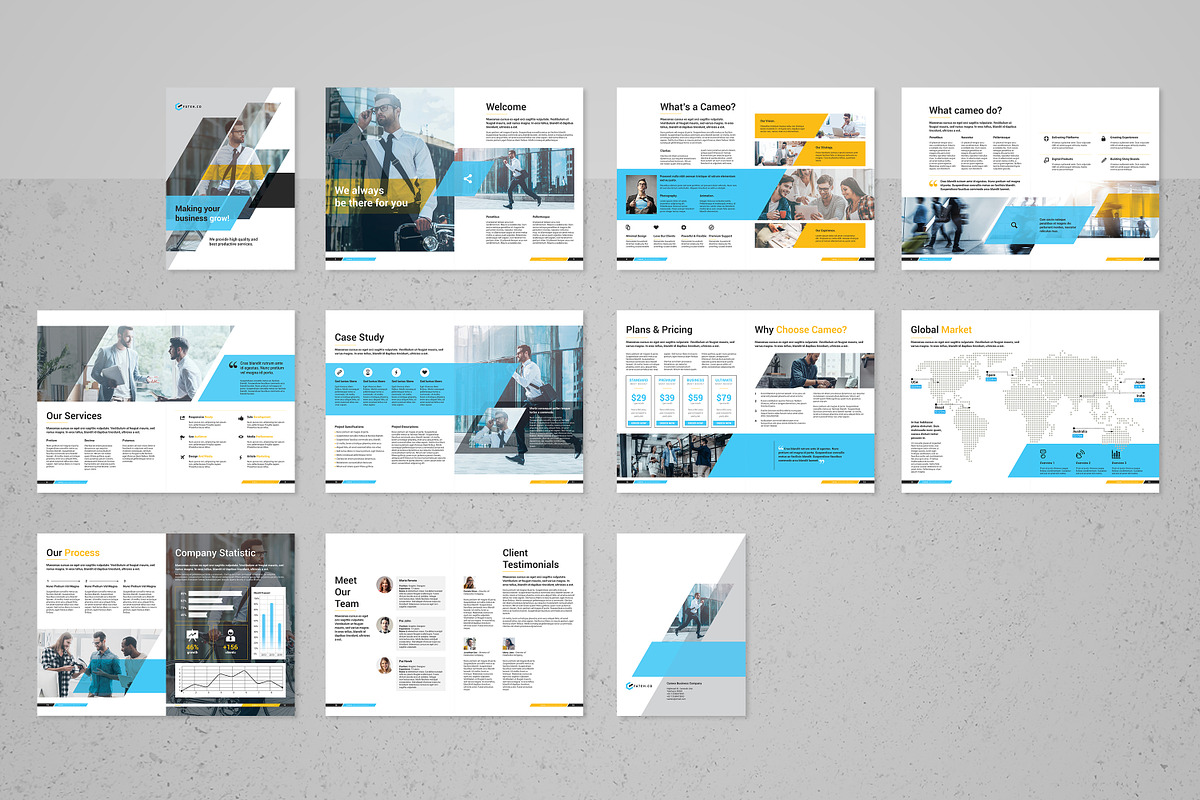 Cameo Business Brochure, a Brochure Template by FathurFateh (Photo 12 of 13)